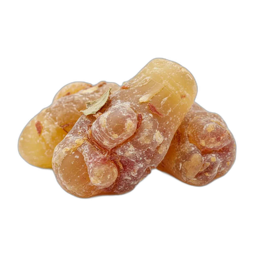 Boswellia — natürliches Extrakt für Bewegungsfreiheit